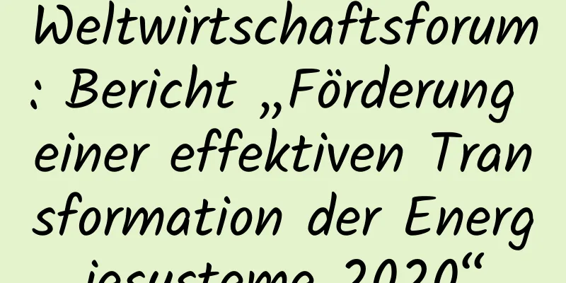 Weltwirtschaftsforum: Bericht „Förderung einer effektiven Transformation der Energiesysteme 2020“