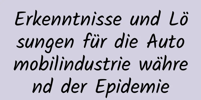 Erkenntnisse und Lösungen für die Automobilindustrie während der Epidemie