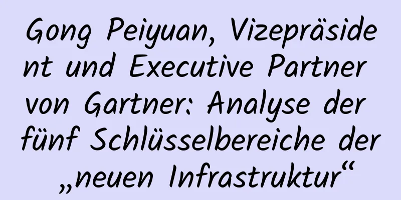 Gong Peiyuan, Vizepräsident und Executive Partner von Gartner: Analyse der fünf Schlüsselbereiche der „neuen Infrastruktur“