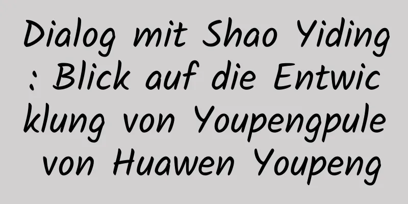 Dialog mit Shao Yiding: Blick auf die Entwicklung von Youpengpule von Huawen Youpeng