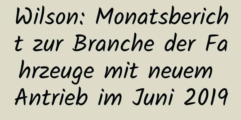 Wilson: Monatsbericht zur Branche der Fahrzeuge mit neuem Antrieb im Juni 2019