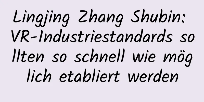 Lingjing Zhang Shubin: VR-Industriestandards sollten so schnell wie möglich etabliert werden