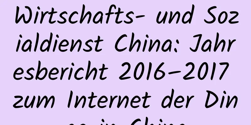 Wirtschafts- und Sozialdienst China: Jahresbericht 2016–2017 zum Internet der Dinge in China