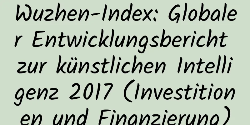 Wuzhen-Index: Globaler Entwicklungsbericht zur künstlichen Intelligenz 2017 (Investitionen und Finanzierung)