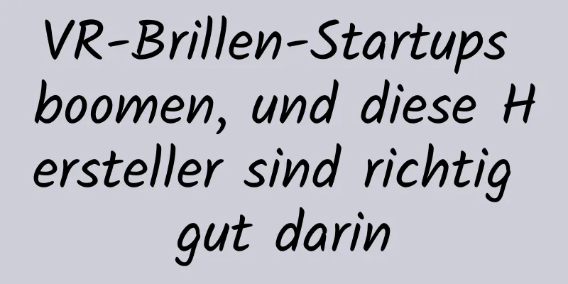 VR-Brillen-Startups boomen, und diese Hersteller sind richtig gut darin