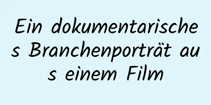 Ein dokumentarisches Branchenporträt aus einem Film