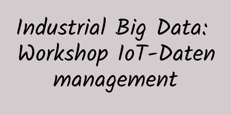 Industrial Big Data: Workshop IoT-Datenmanagement