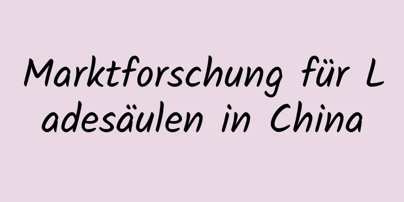 Marktforschung für Ladesäulen in China