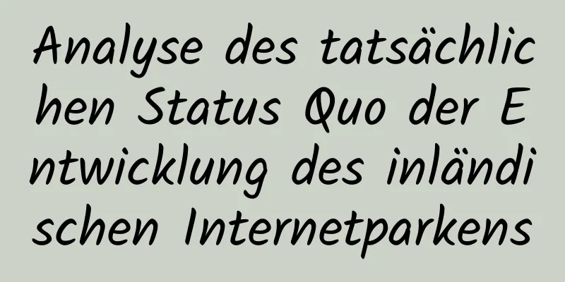 Analyse des tatsächlichen Status Quo der Entwicklung des inländischen Internetparkens
