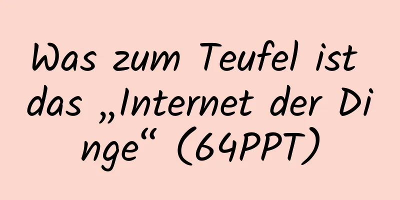 Was zum Teufel ist das „Internet der Dinge“ (64PPT)