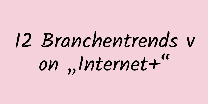12 Branchentrends von „Internet+“
