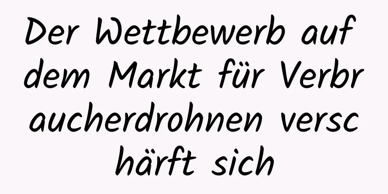 Der Wettbewerb auf dem Markt für Verbraucherdrohnen verschärft sich