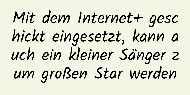 Mit dem Internet+ geschickt eingesetzt, kann auch ein kleiner Sänger zum großen Star werden