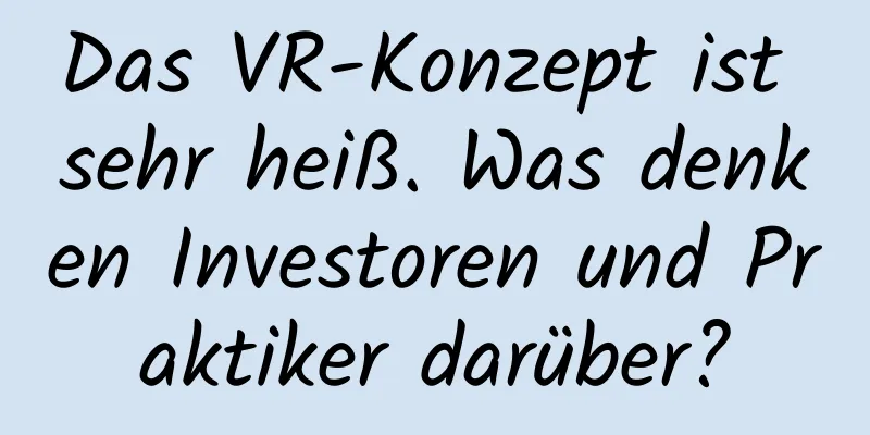 Das VR-Konzept ist sehr heiß. Was denken Investoren und Praktiker darüber?