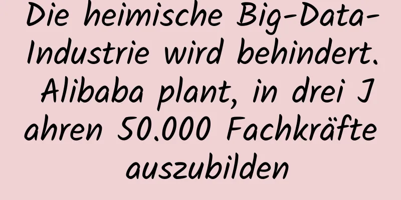 Die heimische Big-Data-Industrie wird behindert. Alibaba plant, in drei Jahren 50.000 Fachkräfte auszubilden