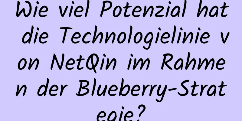Wie viel Potenzial hat die Technologielinie von NetQin im Rahmen der Blueberry-Strategie?