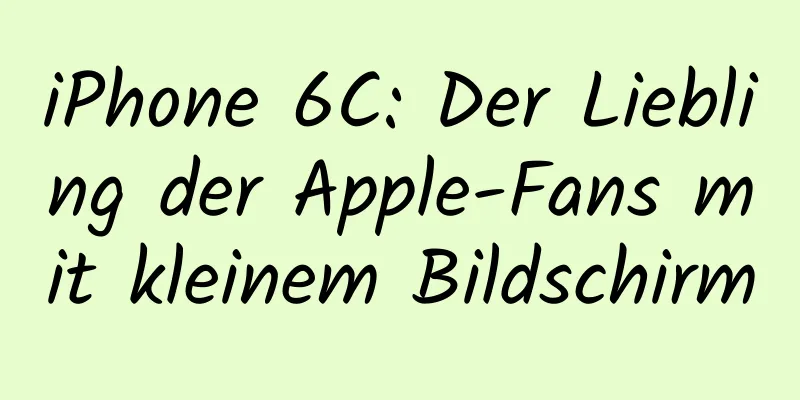 iPhone 6C: Der Liebling der Apple-Fans mit kleinem Bildschirm