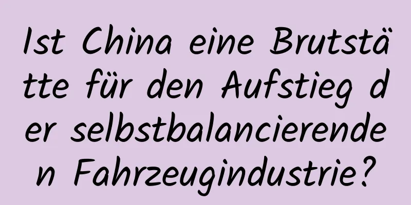 Ist China eine Brutstätte für den Aufstieg der selbstbalancierenden Fahrzeugindustrie?