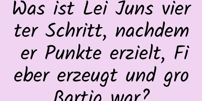 Was ist Lei Juns vierter Schritt, nachdem er Punkte erzielt, Fieber erzeugt und großartig war?