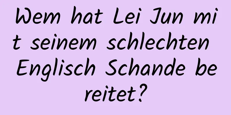 Wem hat Lei Jun mit seinem schlechten Englisch Schande bereitet?