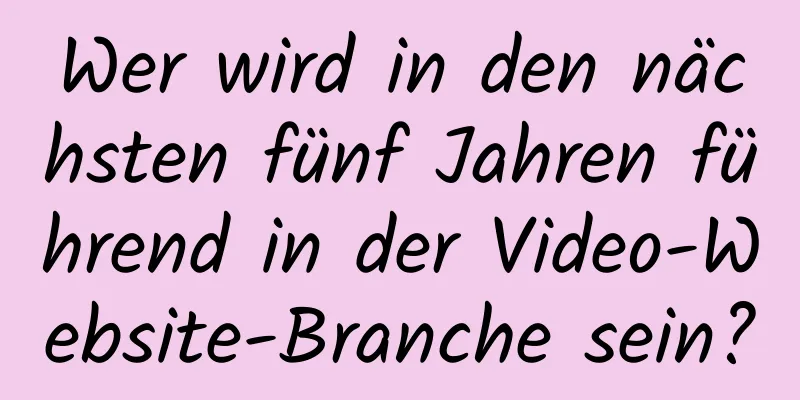 Wer wird in den nächsten fünf Jahren führend in der Video-Website-Branche sein?