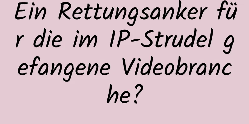 Ein Rettungsanker für die im IP-Strudel gefangene Videobranche?