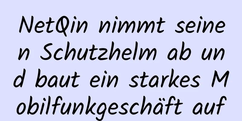 NetQin nimmt seinen Schutzhelm ab und baut ein starkes Mobilfunkgeschäft auf