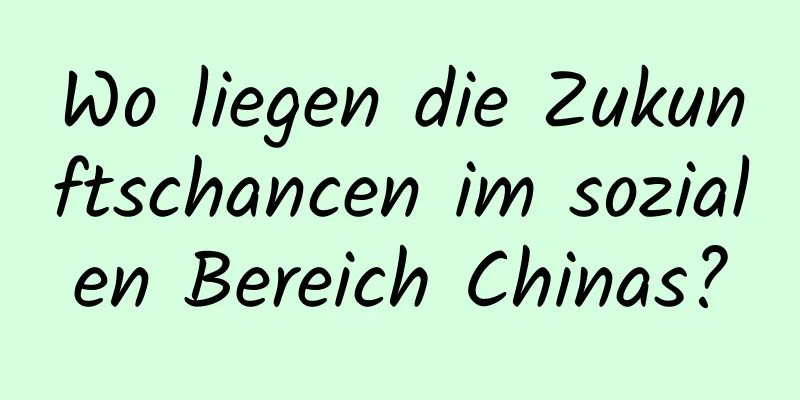 Wo liegen die Zukunftschancen im sozialen Bereich Chinas?