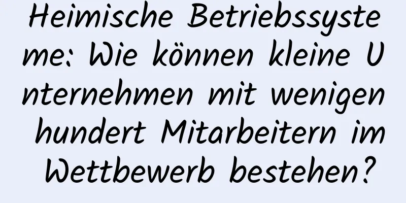 Heimische Betriebssysteme: Wie können kleine Unternehmen mit wenigen hundert Mitarbeitern im Wettbewerb bestehen?