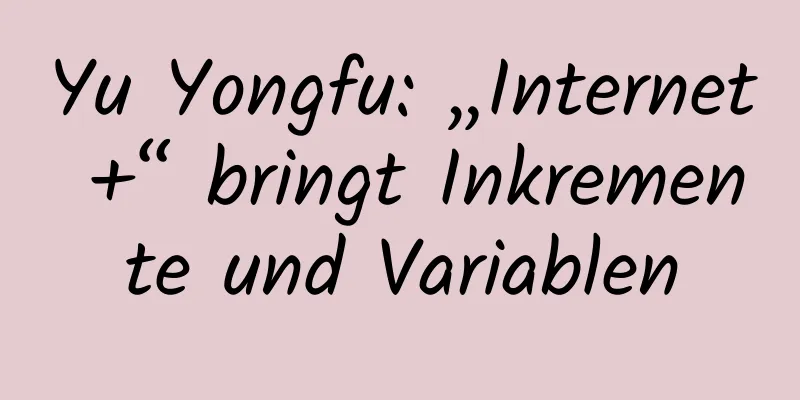 Yu Yongfu: „Internet +“ bringt Inkremente und Variablen