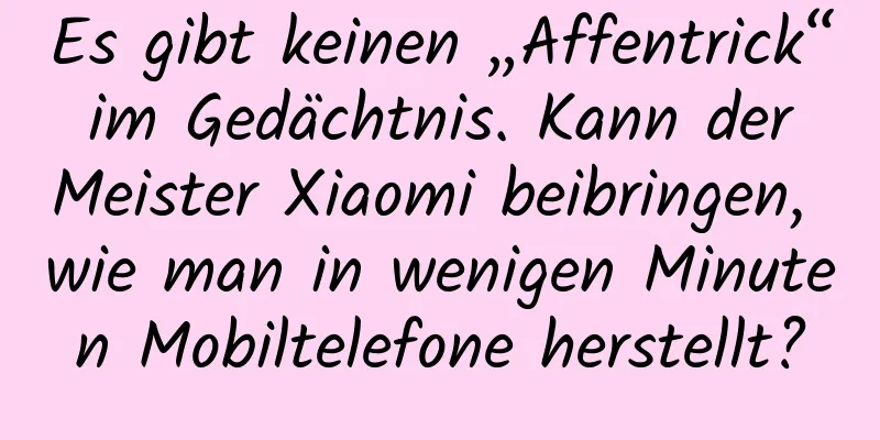 Es gibt keinen „Affentrick“ im Gedächtnis. Kann der Meister Xiaomi beibringen, wie man in wenigen Minuten Mobiltelefone herstellt?