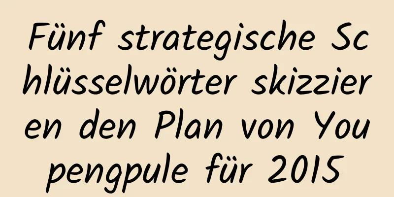 Fünf strategische Schlüsselwörter skizzieren den Plan von Youpengpule für 2015