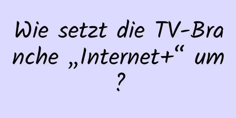 Wie setzt die TV-Branche „Internet+“ um?