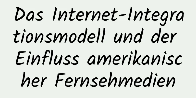 Das Internet-Integrationsmodell und der Einfluss amerikanischer Fernsehmedien