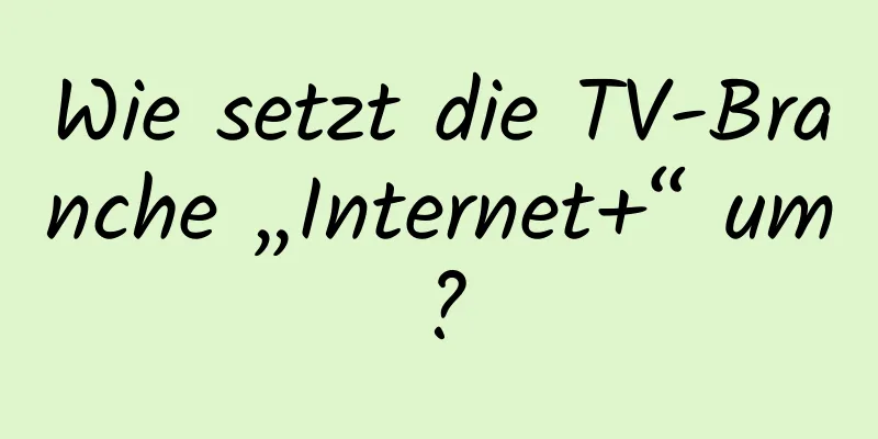 Wie setzt die TV-Branche „Internet+“ um?