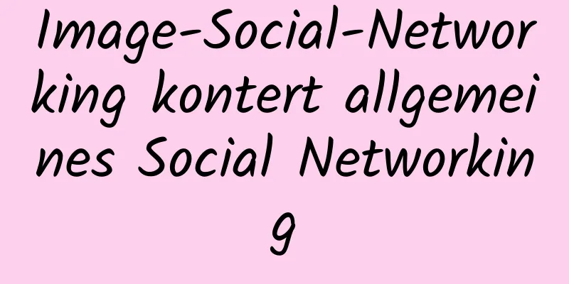 Image-Social-Networking kontert allgemeines Social Networking