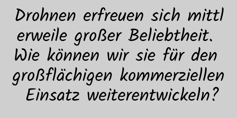 Drohnen erfreuen sich mittlerweile großer Beliebtheit. Wie können wir sie für den großflächigen kommerziellen Einsatz weiterentwickeln?