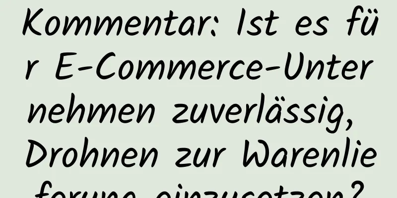 Kommentar: Ist es für E-Commerce-Unternehmen zuverlässig, Drohnen zur Warenlieferung einzusetzen?