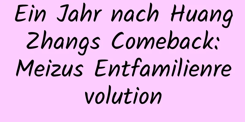 Ein Jahr nach Huang Zhangs Comeback: Meizus Entfamilienrevolution
