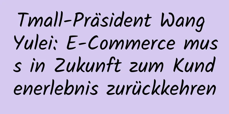 Tmall-Präsident Wang Yulei: E-Commerce muss in Zukunft zum Kundenerlebnis zurückkehren