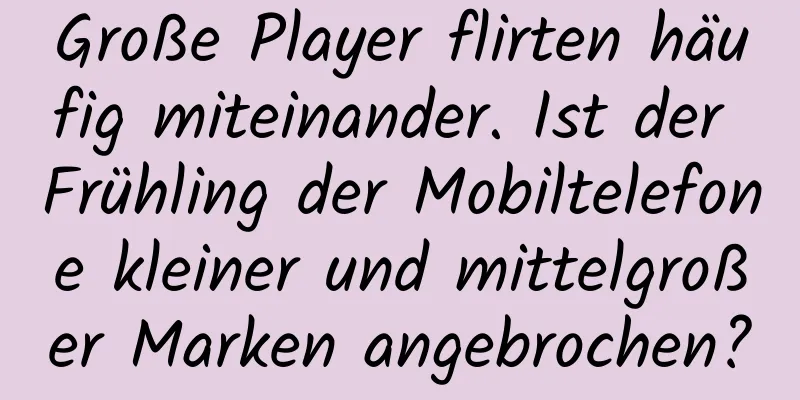 Große Player flirten häufig miteinander. Ist der Frühling der Mobiltelefone kleiner und mittelgroßer Marken angebrochen?