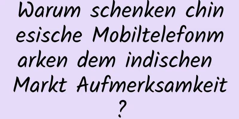 Warum schenken chinesische Mobiltelefonmarken dem indischen Markt Aufmerksamkeit?