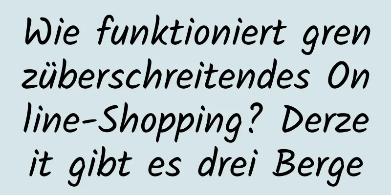 Wie funktioniert grenzüberschreitendes Online-Shopping? Derzeit gibt es drei Berge