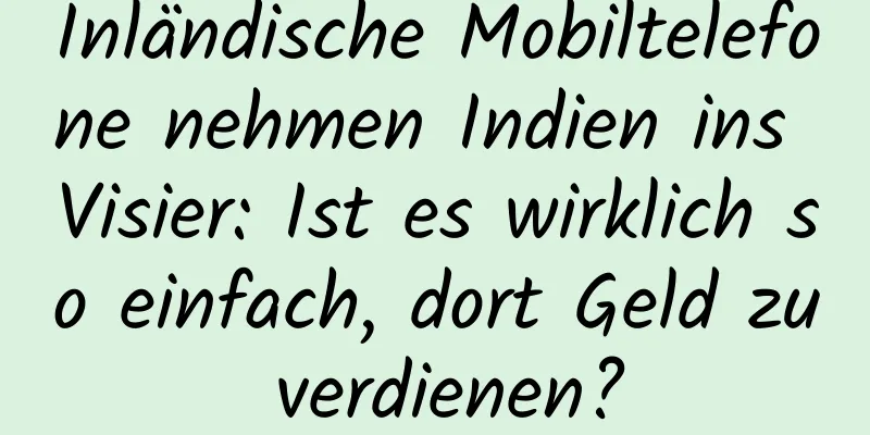 Inländische Mobiltelefone nehmen Indien ins Visier: Ist es wirklich so einfach, dort Geld zu verdienen?