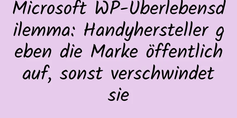 Microsoft WP-Überlebensdilemma: Handyhersteller geben die Marke öffentlich auf, sonst verschwindet sie