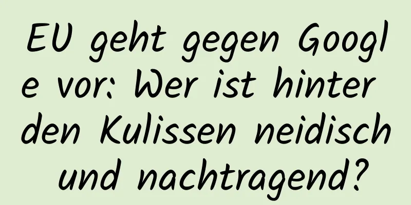 EU geht gegen Google vor: Wer ist hinter den Kulissen neidisch und nachtragend?