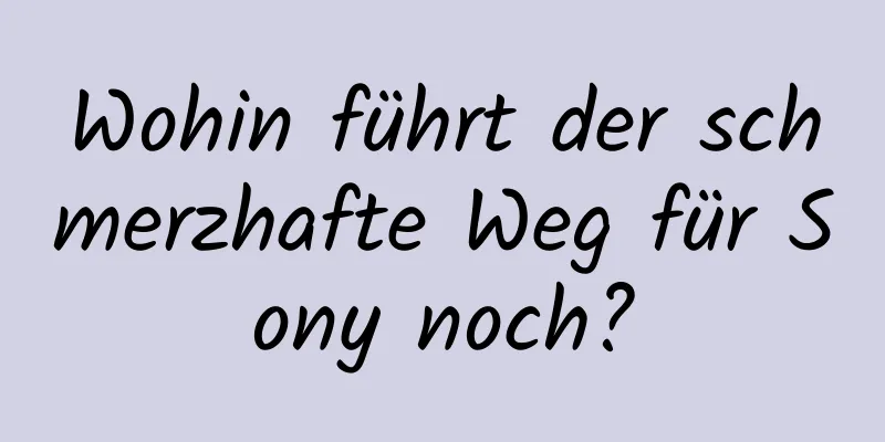 Wohin führt der schmerzhafte Weg für Sony noch?