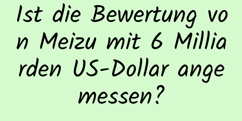 Ist die Bewertung von Meizu mit 6 Milliarden US-Dollar angemessen?