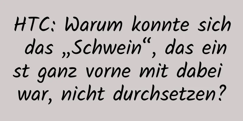 HTC: Warum konnte sich das „Schwein“, das einst ganz vorne mit dabei war, nicht durchsetzen?