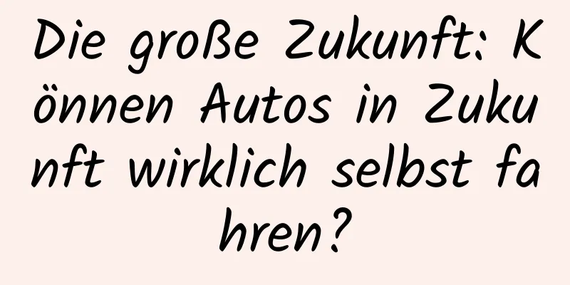Die große Zukunft: Können Autos in Zukunft wirklich selbst fahren?